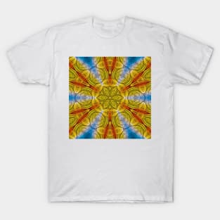 radial inspired by nature rainbow coloured square composition design T-Shirt